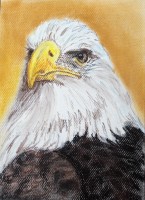 /album/zvieratka-suchy-pastel/obraz-063-jpg/